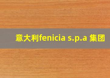 意大利fenicia s.p.a 集团